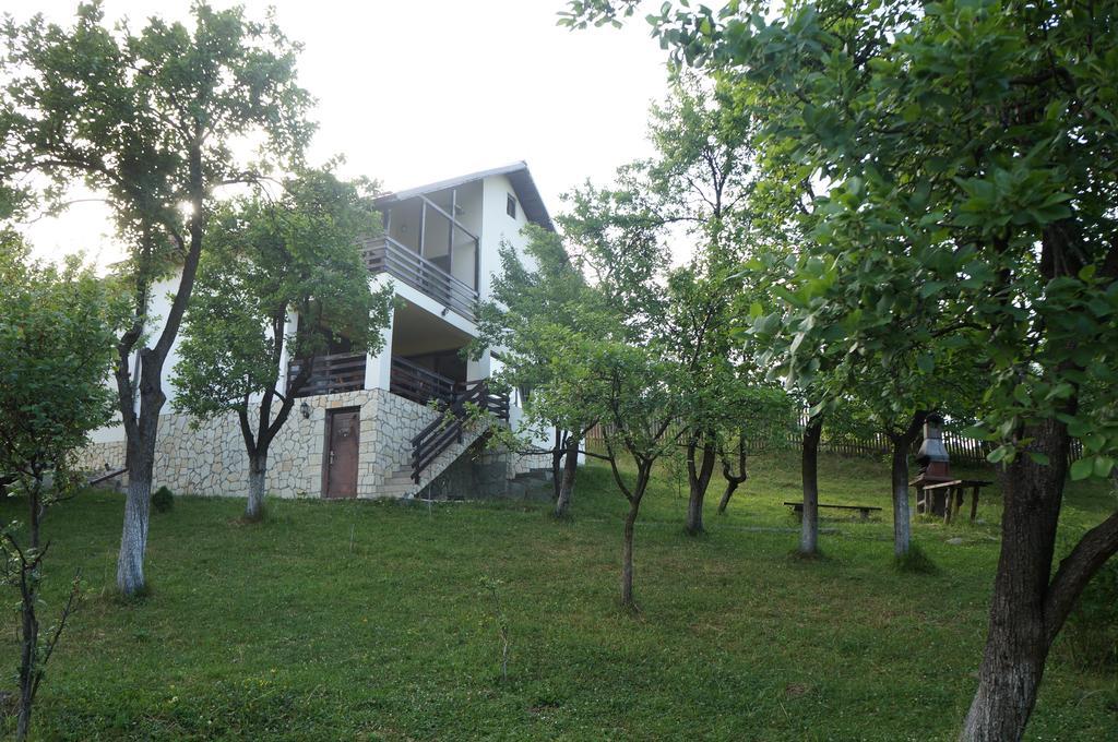Casa Paltinu Otel Lunca Mare Dış mekan fotoğraf